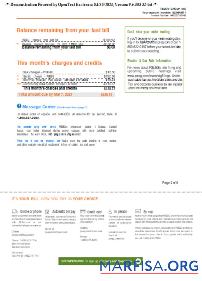 Downloadable New York PSEG utility business bill, page 2, SCR example